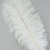 White Ostrich Plume Feather 30cm 1 White Ostrich Plume Feather 30cm -Halloween Fans Shop 17645rs