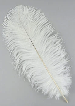 White Ostrich Plume Feather 30cm