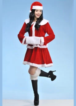 Womens Christmas Mrs Claus Santa Costume