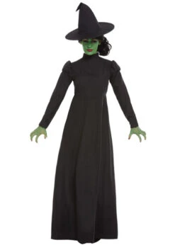 Womens Halloween Wicked Witch Costume