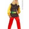 Adult Mens Asterix The Gaul Style Costume -Halloween Fans Shop 56562rs
