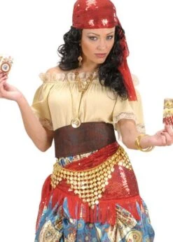 Harem Girl Belly Dancer Gold Coin Belt 8 Harem Girl Belly Dancer Gold Coin Belt -Halloween Fans Shop 6955Grs 02