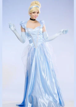 Womens Long Blue Princess Classic Cinderella Costume