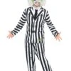 Adult Size Mens Beetlejuice Costume 1 Adult Size Mens Beetlejuice Costume -Halloween Fans Shop 9907624 rs