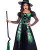 Childrens Halloween Spider Witch Costume -Halloween Fans Shop 9911971 childrens green witch costume