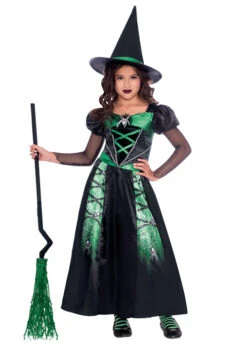 Childrens Halloween Spider Witch Costume