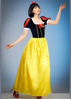 Womens Long Snow White Style Costume