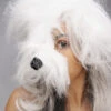 White Shaggy Dog Mask On Headband -Halloween Fans Shop EM358 white shaggy dog mask headpiece
