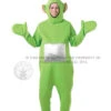 Adult Teletubbies Dipsy Costume