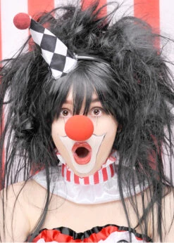 Womens Big Black Circus Clown Wig
