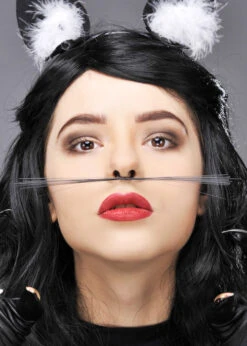 Clip On Fancy Dress Cat Whiskers