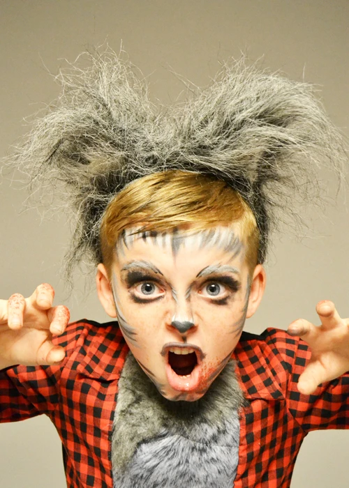 Childrens Grey Werewolf Halloween Wolf Boy Ears 3 Childrens Grey Werewolf Halloween Wolf Boy Ears