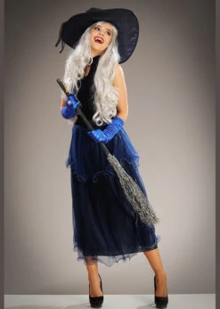 Womens Halloween Gorgeous Midnight Blue Witch Costume -Halloween Fans Shop dark blue witch costume 45112 02
