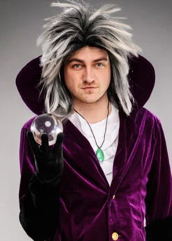 Mens 80s David Bowie Labyrinth Style Silver Wig