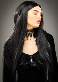 Womens Deluxe Maleficent Style Long Black Wig 5 Womens Deluxe Maleficent Style Long Black Wig -Halloween Fans Shop deluxe long black maleficent wig 01