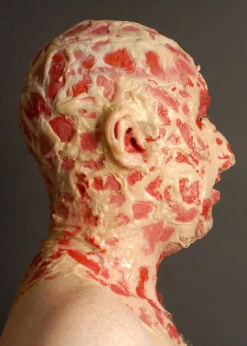 Deluxe Freddy Krueger Make-Up Kit -Halloween Fans Shop freddy krueger make up 05