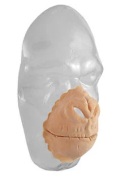 Deluxe Grimas Latex Prosthetic Chimpanzee Set No57 7 Deluxe Grimas Latex Prosthetic Chimpanzee Set No57 -Halloween Fans Shop grimas no57 latex prosthetic set 02