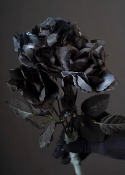 Halloween Party Gothic Black Roses