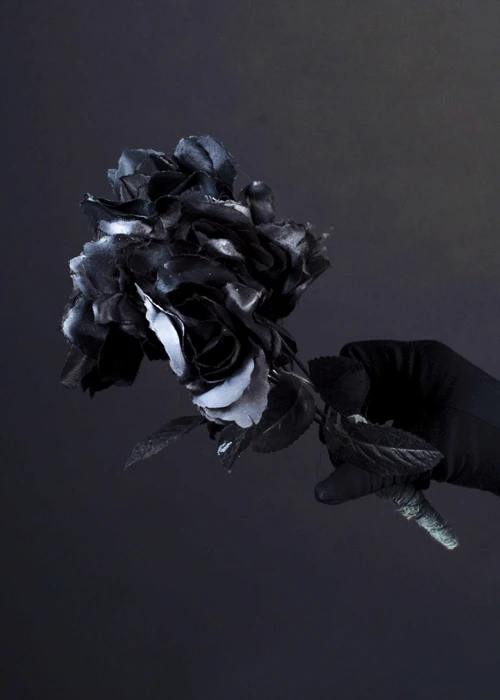 Halloween Party Gothic Black Roses 4 Halloween Party Gothic Black Roses - Image 2