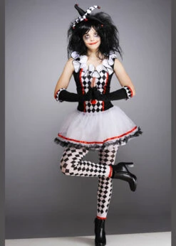Teen Size Halloween Gothic Harlequin Honey Costume -Halloween Fans Shop harlequin honey clown costume 997502 02