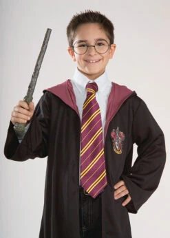 Official Harry Potter School Tie