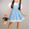 Kids Wizard Of Oz Sequin Dorothy Costume -Halloween Fans Shop kids blue sequin dorothy costume 886493