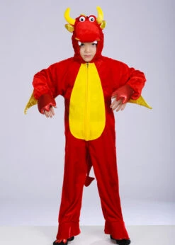 Kids Size Red Dragon Fancy Dress Costume