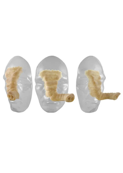Grimas Latex Prosthetic Elephant Nose Snout No306 4 Grimas Latex Prosthetic Elephant Nose Snout No306 - Image 2