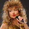 Curly Brown Tina Turner Style Rock Star Wig 1 Curly Brown Tina Turner Style Rock Star Wig -Halloween Fans Shop tina turner wig 00657