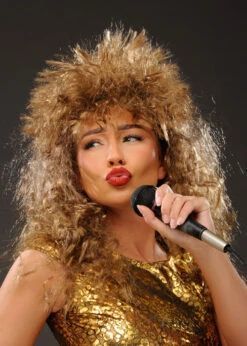 Curly Brown Tina Turner Style Rock Star Wig