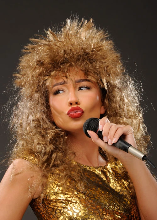Curly Brown Tina Turner Style Rock Star Wig 3 Curly Brown Tina Turner Style Rock Star Wig