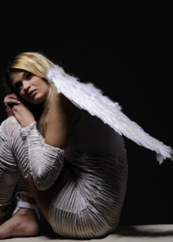 Womens Medium White Feather Angel Wings 11 Womens Medium White Feather Angel Wings -Halloween Fans Shop white feather angel wings 52801 03